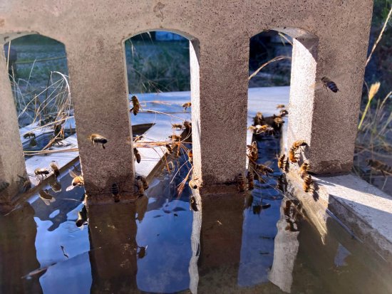 ein Betonobjekt als Tränke gewählt