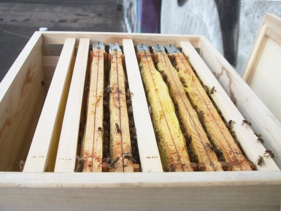 Beim Öffnen und nach Rauchgabe