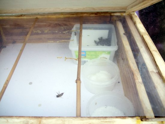 So die Futterzarge wieder aufgesetzt.