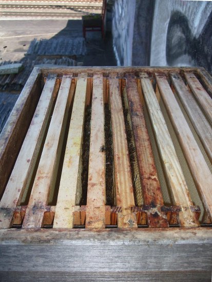 K1Hr2 etwa mittig 3 halb volle Hw