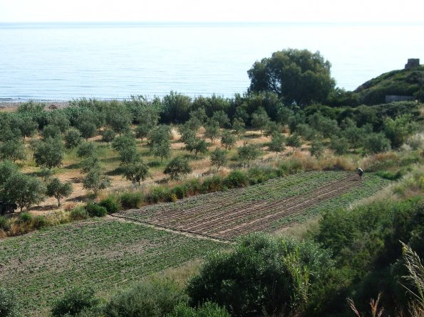 Obst- und Gemüseanbau