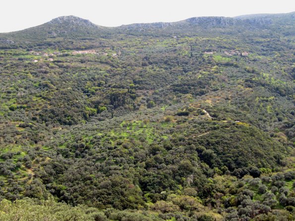 Alte Agrarlandschaft